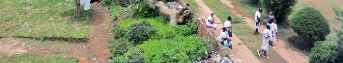 Democratic Republic of the Congo Where We Work